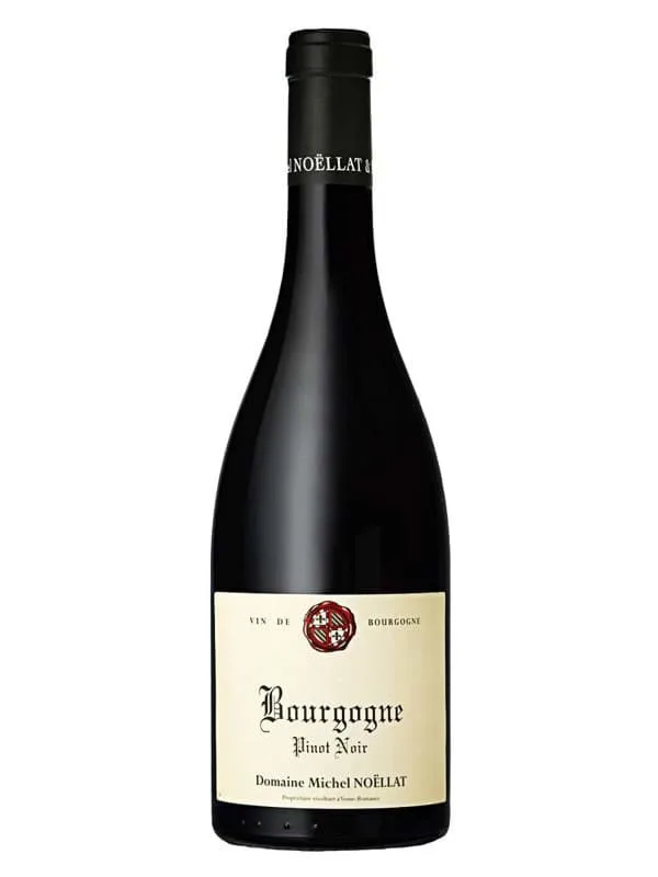 Domaine Michel Noellat Bourgogne Pinot Noir