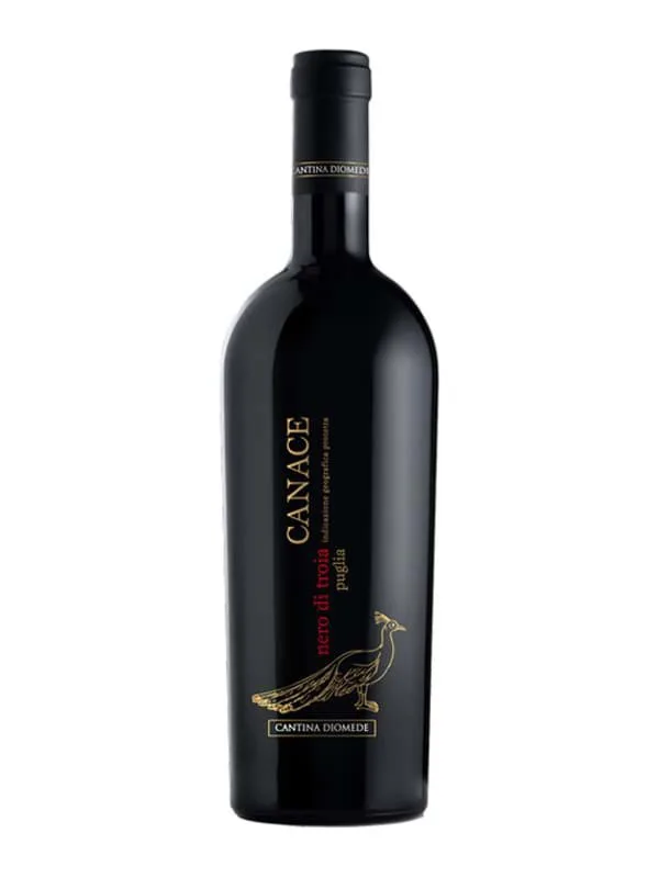 Rượu Vang Canace Nero Di Troia