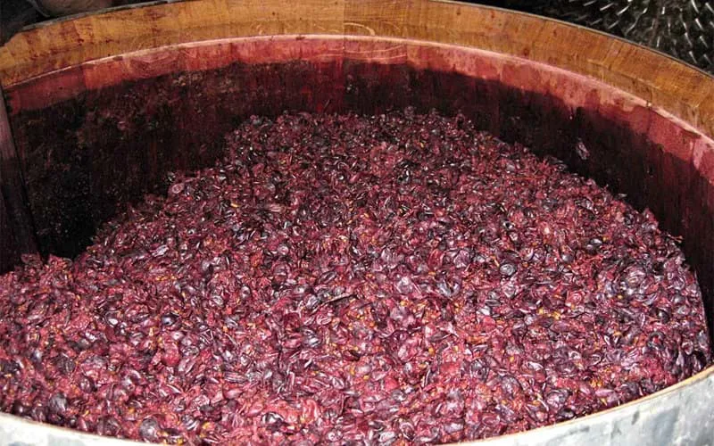 Ripasso wine