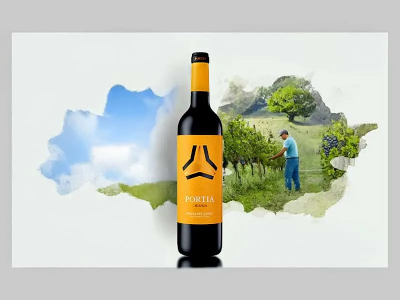 vang Crianza