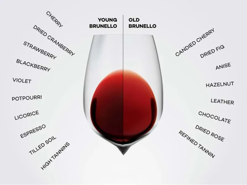 Hương vị rượu vang Brunello di Montalcino