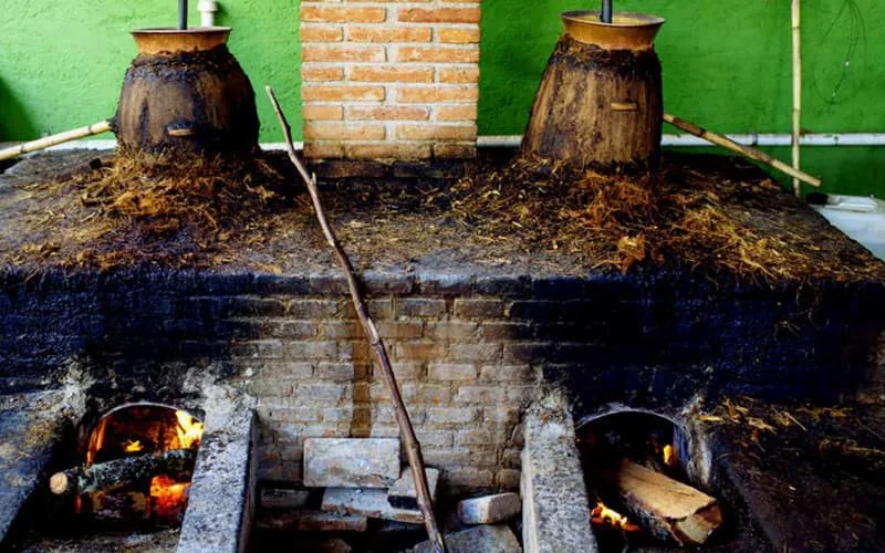 Chưng cất rượu Mezcal