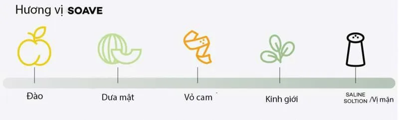 Hương vị soave