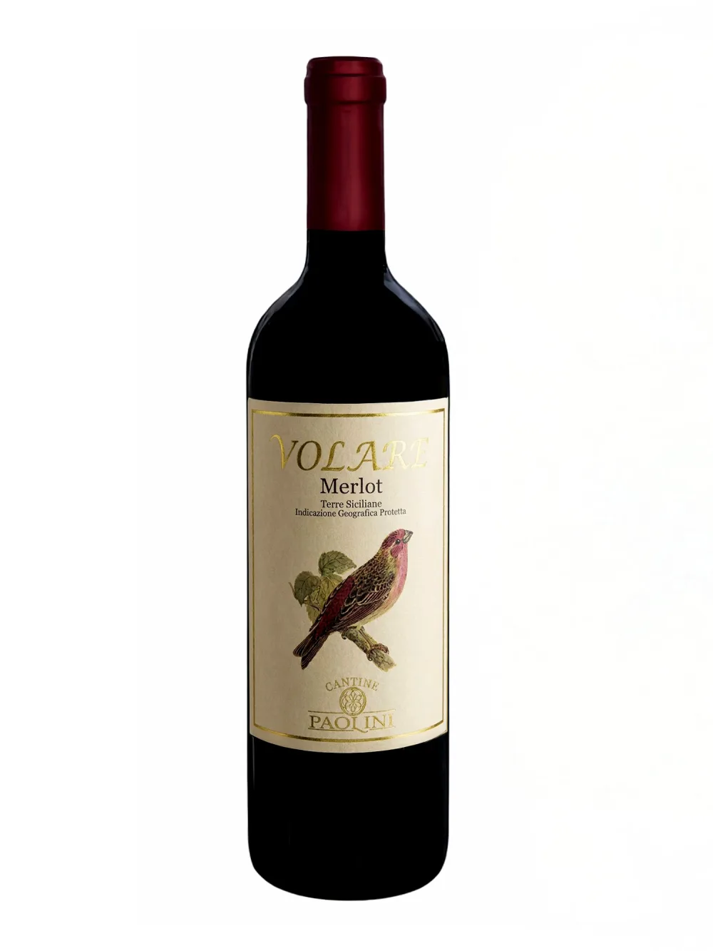 Paolini Volare Merlot Red