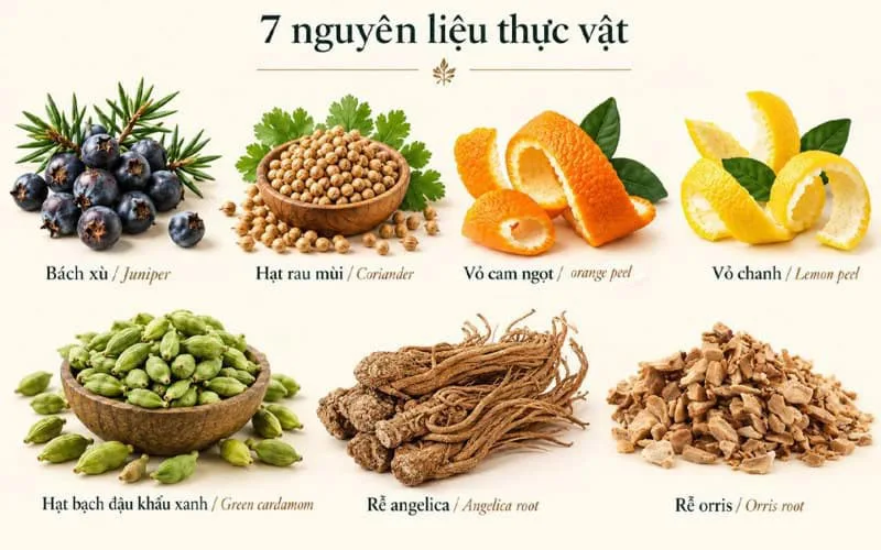 Hương vị Plymouth Gin