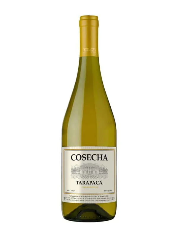 Rượu vang Tarapaca Cosecha Chardonnay