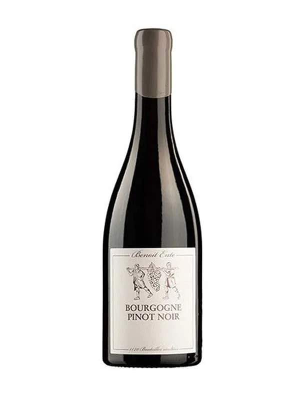 Rượu vang Benoit Ente Bourgogne Pinot Noir